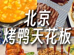 -羲和雅苑•北京烤鸭(国贸商城店)