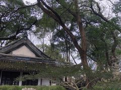 -绮园景区