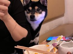 -柴の食堂·日式家庭料理·熊之肆(大学路店)