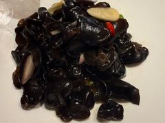 -同庆楼(金宝汇店)