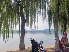 -济南国际园博园