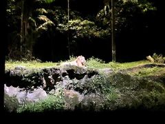 -夜间野生动物园