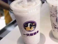 -一只酸奶牛(八一路店)