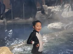 -中铁花水湾温泉酒店(大邑店)