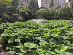 -郑和公园