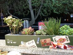 景观位-龙厂长老火锅(抚琴店)