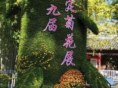 -汇龙潭