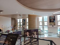 -素美医疗美容·西南眼鼻整形·修复基地