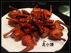 脆皮乳鸽-新南华大酒店(长寿店)