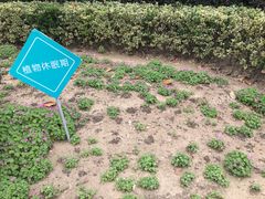 -常州古运河南大街文化旅游区-人民公园
