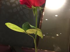 -海底捞火锅(高科广场店)