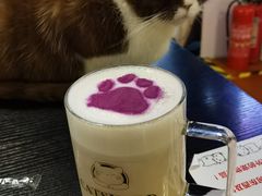 -猫小院猫主题咖啡厅(北锣店)