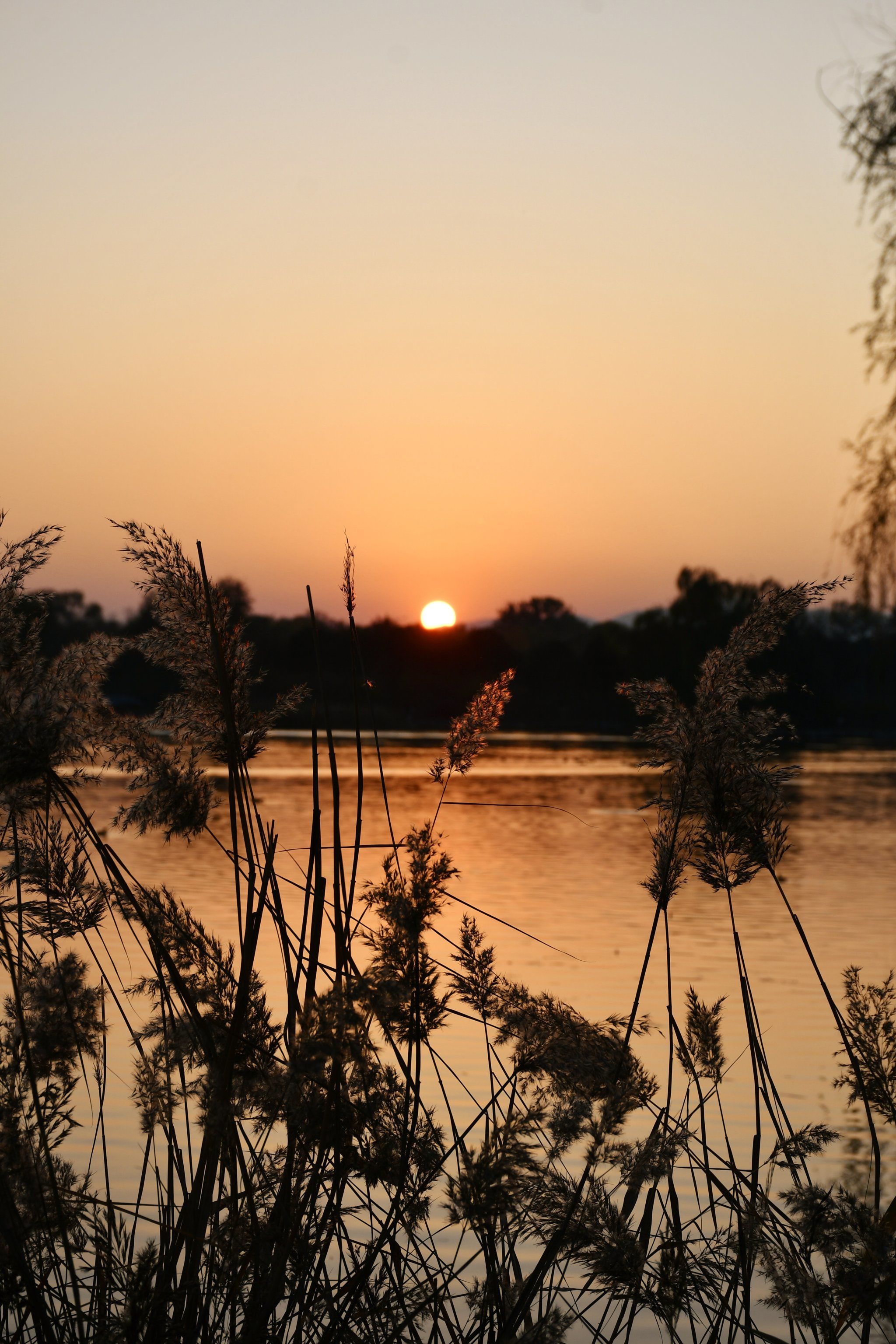 湖边那抹日落红