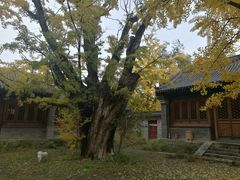 -阳台山自然风景区