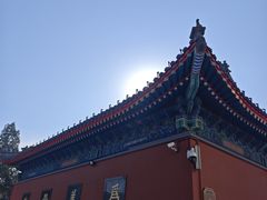 -天津大悲禅院