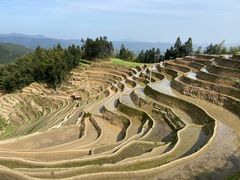 -紫鹊界梯田景区