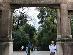 -灵谷景区