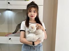 -青奢宠物·青奢猫舍