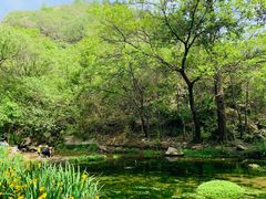 -白水寺森林公园