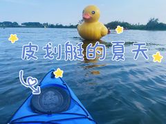 -动邦皮划艇·桨板·独木舟·团建户外运动俱乐部