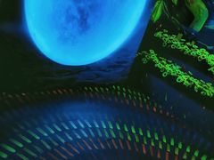 -天津梵高星空艺术馆(天河城旗舰店)