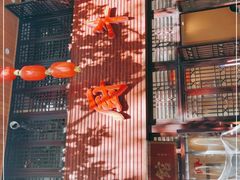 -圣厨牛腩(青春岛社区玉寿苑店)