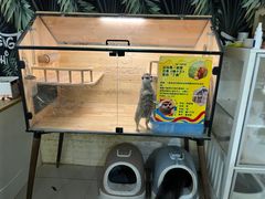 -平行世界·猫咖(首经贸店)