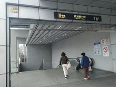 -桃浦新村(地铁站)