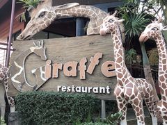 -清迈夜间动物园