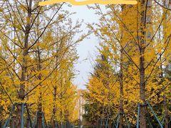 -木塔寺遗址生态公园