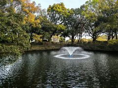 -普陀山风景名胜区-法雨禅寺