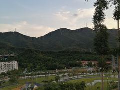 -白石龙音乐公园