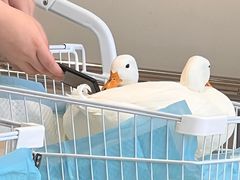 -怪兽屋·羊驼·猫咖·狗咖(俊华广场店)