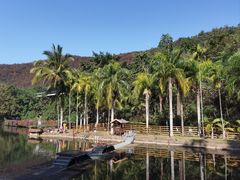 -西双版纳原始森林公园