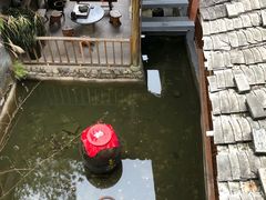 -仙店农庄(湖景农庄餐厅)