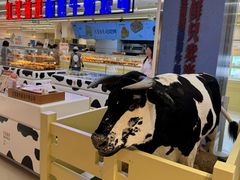 -红星前进面包牛奶公司(君太店)