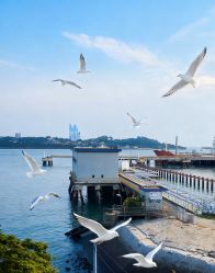 -厦门屿爱月子中心(独栋海湾店)