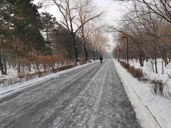 -长春市南湖公园