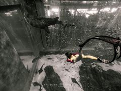 -成都浩海立方海洋公园