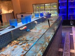 水产区-小天鹅戴斯酒店鲸鲨百汇创作料理