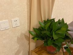 -筋骨堂热敷推拿按摩(枫林绿洲店)