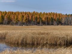 -塞罕坝国家级自然保护区