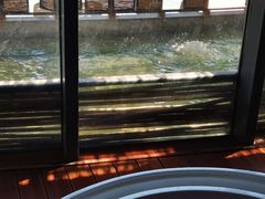 -春晖园度假酒店温泉