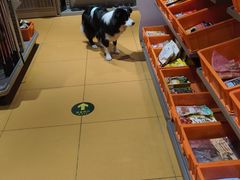 -MARSMART PETS火星宠物超市(1733店)