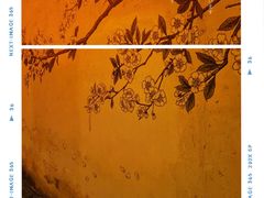 -黎里王记辣脚(黎里总店)