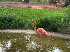 -上海动物园(地铁站)