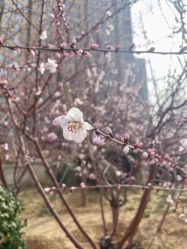 -Oasis Beauty水磨坊科技美肤中心