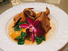 话梅乳鸽-沙龙酒家