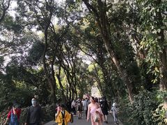 -华南国家植物园-售票处