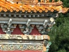 -北陵公园